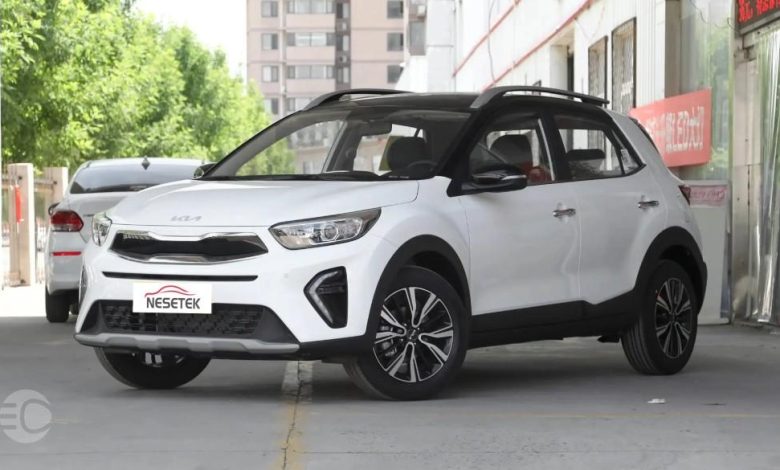 بررسی کیا استونیک